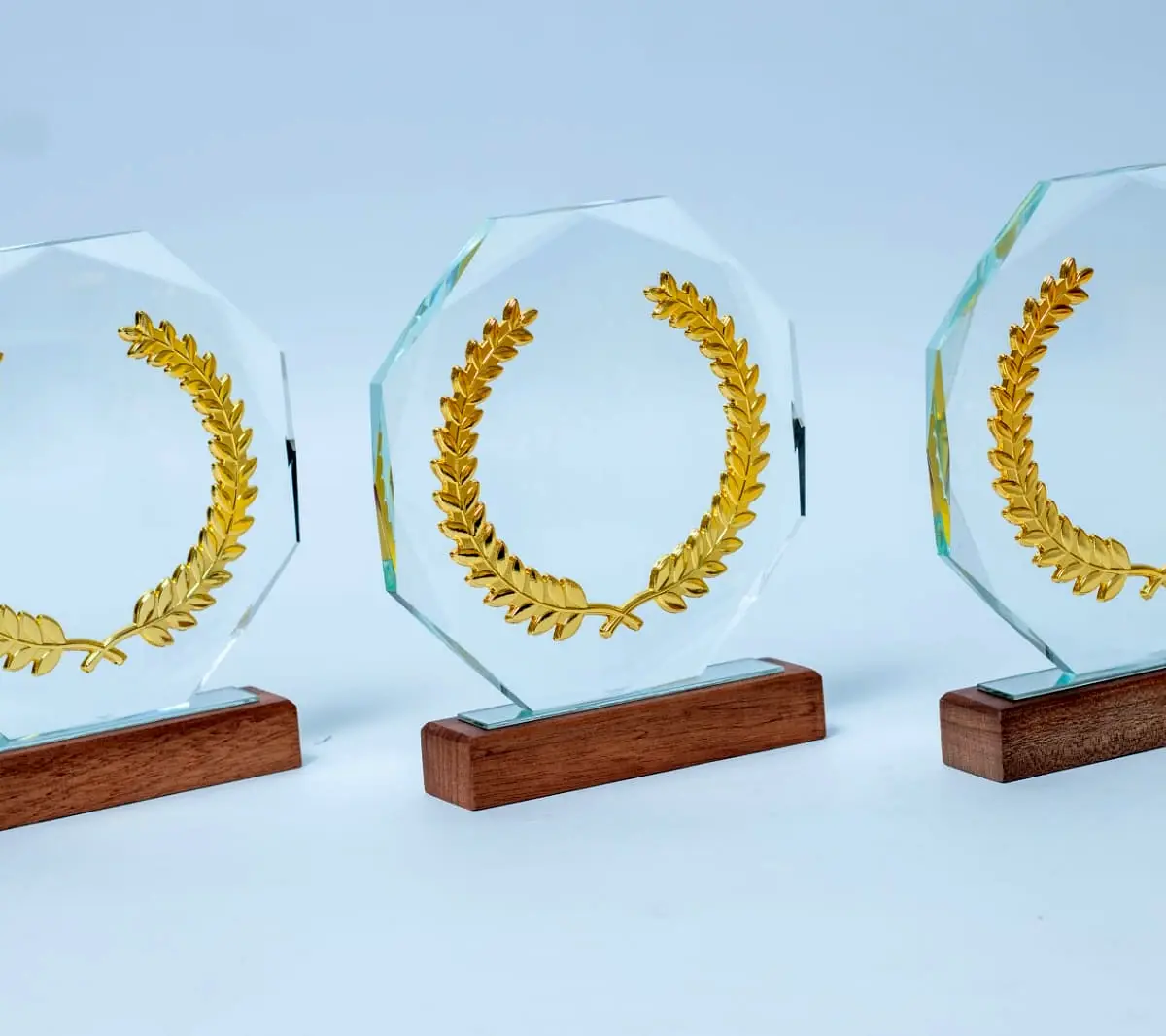 WB271 Clarity Crystal Award