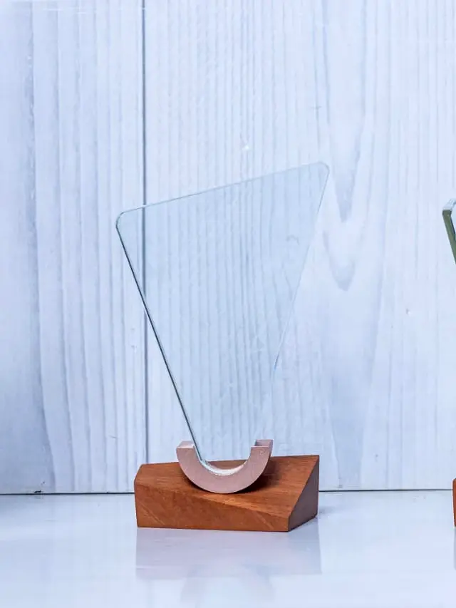KNY-18 Distinction Crystal Award