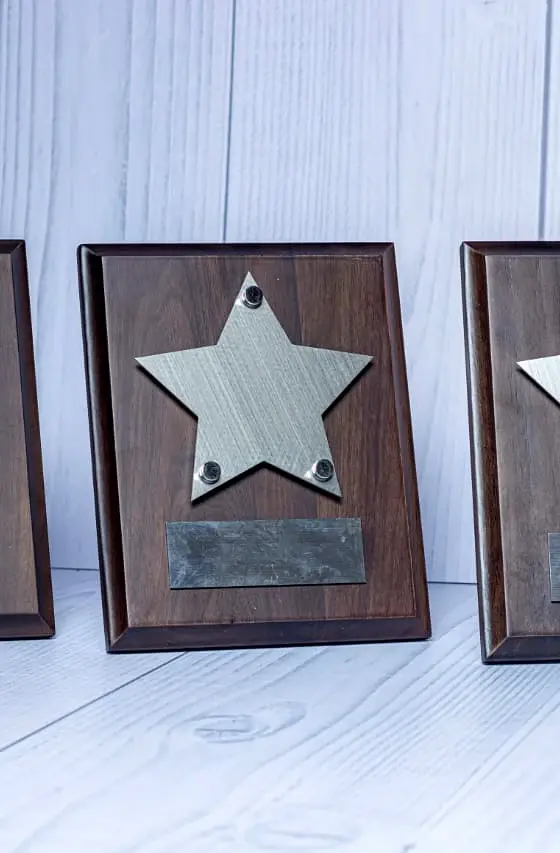Sheriff's Shield Crystal Award