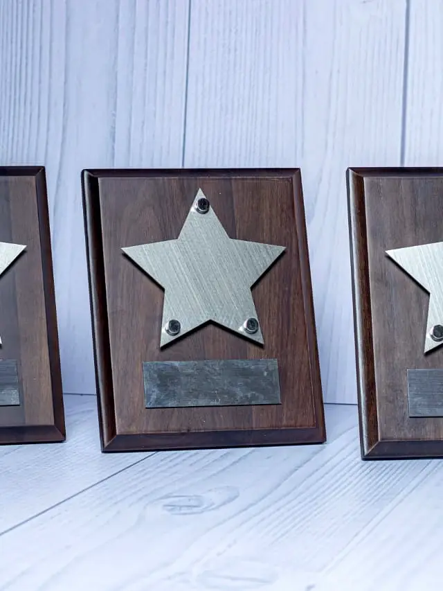 Sheriff's Shield Crystal Award