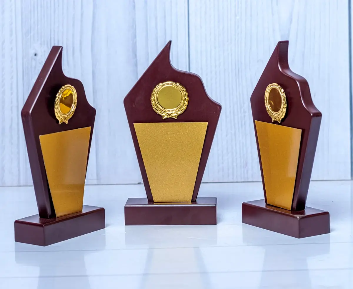 KNY-14 Valor Crystal Award