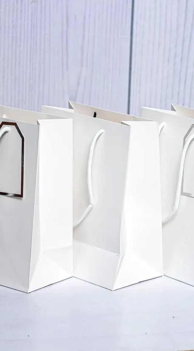 Alba A5 Laminated Carrier Bag