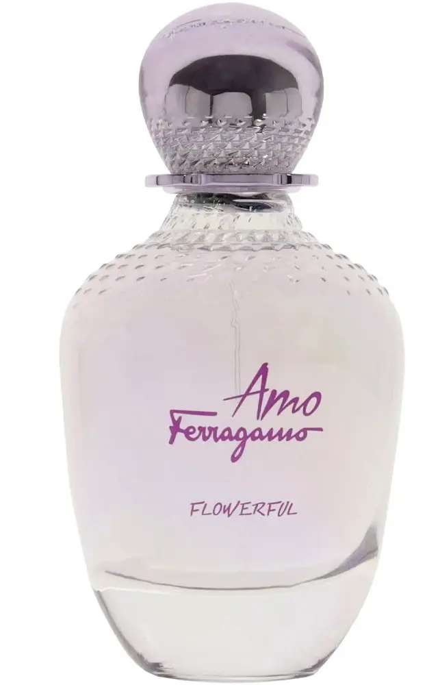 Salvatore Ferragamo Signorina - Eau de Parfum, 100ml